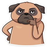 Boone WhatsApp Sticker #28