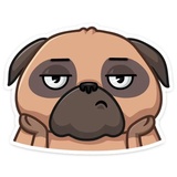 Boone WhatsApp Sticker #29