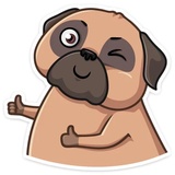 Boone WhatsApp Sticker #3