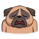 Sticker 31