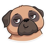 Boone WhatsApp Sticker #4