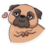 Boone WhatsApp Sticker #5