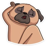 Boone WhatsApp Sticker #8