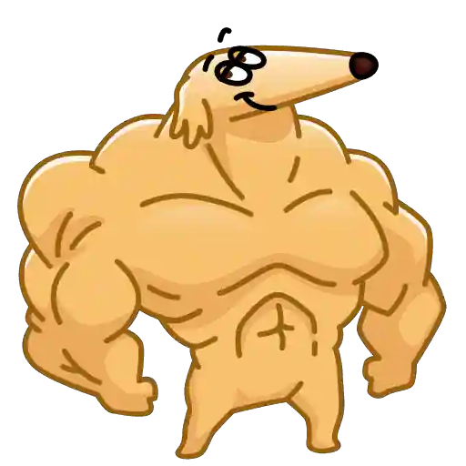 Sticker 13