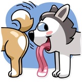 Chuck the Husky WhatsApp Sticker #11