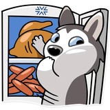 Chuck the Husky WhatsApp Sticker #12