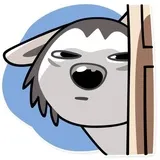 Sticker 19