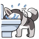 Chuck the Husky WhatsApp Sticker #3