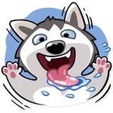 Chuck the Husky WhatsApp Sticker #5