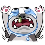 Chuck the Husky WhatsApp Sticker #7