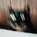 Broken Cats WhatsApp Sticker #11