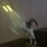 Broken Cats WhatsApp Sticker #23