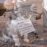 Broken Cats WhatsApp Sticker #29