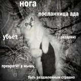 Broken Cats WhatsApp Sticker #30