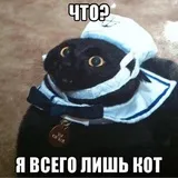 Sticker 60