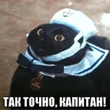 Sticker 61