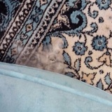 Broken Cats WhatsApp Sticker #9