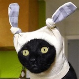 Broken Animals WhatsApp Sticker #23