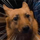 Broken Animals WhatsApp Sticker #6