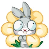 Boo the Bunny WhatsApp Sticker #11