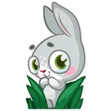 Boo the Bunny WhatsApp Sticker #18