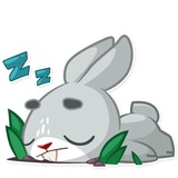 Boo the Bunny WhatsApp Sticker #26