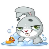 Boo the Bunny WhatsApp Sticker #30