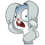 Boo the Bunny WhatsApp Sticker #4