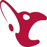 CS Teams WhatsApp Sticker #12