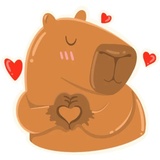 Capy WhatsApp Sticker #20