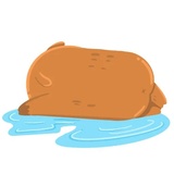 Capy WhatsApp Sticker #9