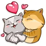 Cat it!