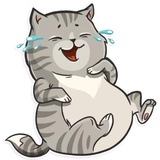 Cat it! WhatsApp Sticker #10