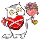 Cat it! WhatsApp Sticker #13