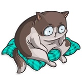 Cat it! WhatsApp Sticker #15