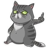 Cat it! WhatsApp Sticker #18