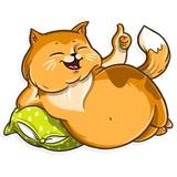 Cat it! WhatsApp Sticker #19