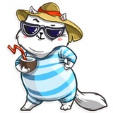 Cat it! WhatsApp Sticker #20