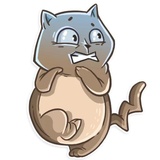 Cat it! WhatsApp Sticker #22