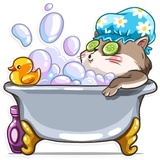 Cat it! WhatsApp Sticker #3