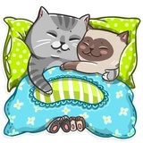Cat it! WhatsApp Sticker #30