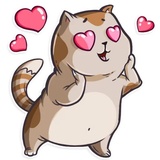 Cat it! WhatsApp Sticker #4