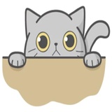 Cat Fullmoon WhatsApp Sticker pack