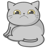 Cat Fullmoon WhatsApp Sticker #11