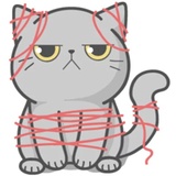 Cat Fullmoon WhatsApp Sticker #12