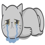 Cat Fullmoon WhatsApp Sticker #24