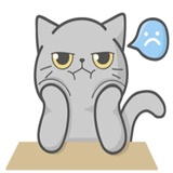Cat Fullmoon WhatsApp Sticker #25