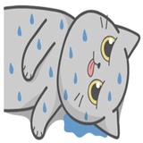 Cat Fullmoon WhatsApp Sticker #26