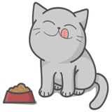 Cat Fullmoon WhatsApp Sticker #29