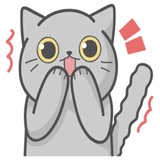 Cat Fullmoon WhatsApp Sticker #3